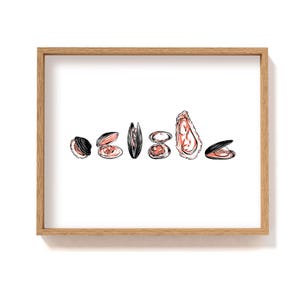May include: A framed illustration of various types of shellfish, including oysters, mussels, and clams. The shells are drawn in black and white with a pink interior.