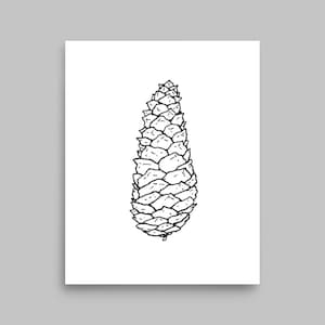 knobpine pine cone art print | hand drawn botanical ink illustration | forest wall decor | minimalist pinecone ink art, black & white poster