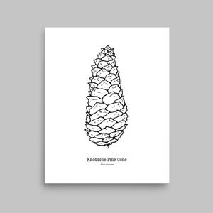 knobpine pine cone art print | hand drawn botanical ink illustration | forest wall decor | minimalist pinecone ink art, black & white poster