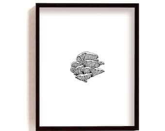 Framed oyster mushroom print, black white illustration, mushroom ink drawing, botanical wall art, minimalist poster, hand drawn fungi guide