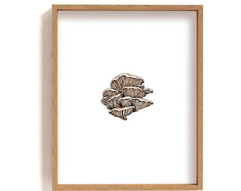 Framed oyster mushroom illustration print, mushroom drawing, botanical wall art, minimalist forest poster, hand drawn fungi guide art print