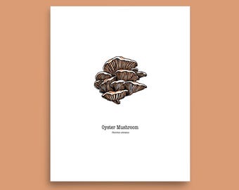 Oyster mushroom illustration print, mushroom ink drawing, botanical wall art, minimalist fungi guide poster, Pleurotus ostreatus, nature art