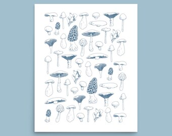 Mushroom assortment illustration print | large mushroom poster | hand drawn botanical wall decor | blue fungi guide drawing | forest artwork