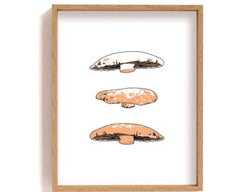 Ingelijste illustratieprint van portobello's, kunstwerk van Agaricus bisporus, paddenstoelposter, paddenstoel, wanddecoratie, paddenstoeltekening