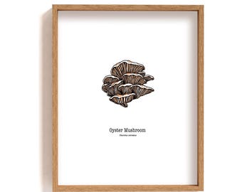 Framed oyster mushroom illustration print, mushroom drawing, botanical wall art, minimalist forest poster, hand drawn fungi guide art print