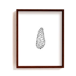 Framed pine cone art print | hand drawn botanical ink illustration | forest wall decor | minimalist pinecone wall art | black & white poster