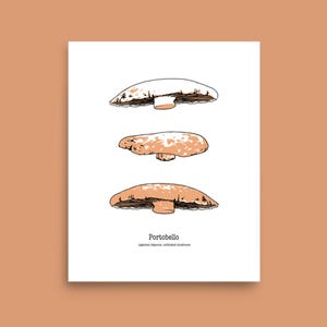 3 portobello mushrooms illustration print scientific name text | square fungi poster | botanical wall decor | hand drawn portobello mushroom