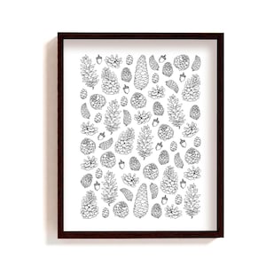 Framed pine cone pattern Print | hand drawn botanical illustration | black & white pine-cone home decor | large nature wall art with frame