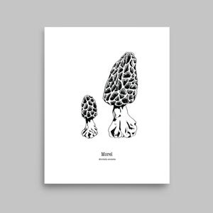 Morel mushroom illustration print, hand drawn 2 morel mushrooms, botanical black and white wall art, forest decor, nature foraging drawing