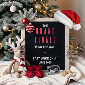 Christmas Pregnancy Announcement The Grand Finale, Last Baby Announcement Festive Christmas Baby Reveal Fourth Child, third Baby #2 #3 #4 #5