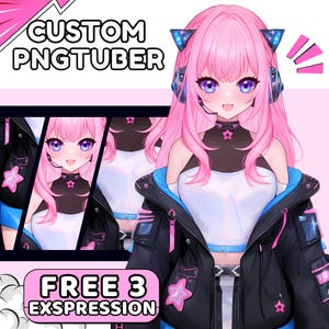 Custom PNGTUBER | PNGtuber | PNGtuber Character | PNGtuber for Streamer | PNGtuber Model | PNG Model | PNGtuber Anime | PNGtuber Commissions