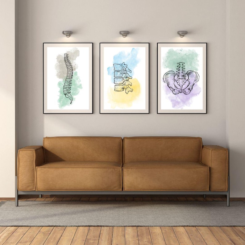 Human Spinal Cord Pelvis Wall Art Anatomy Prints Medical Chiropractic ...