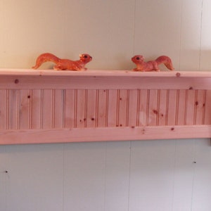 Wood Wall Shelf Display 42 Inch Unfinished Pine