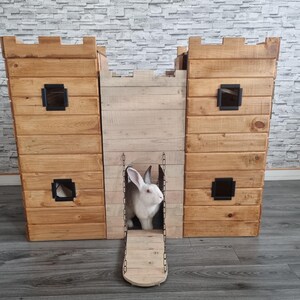 Può includere: Un coniglio bianco siede nell'ingresso di una conigliera di legno a forma di castello. La conigliera ha una rampa che porta all'ingresso.