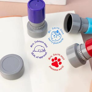 Aangepaste leraarstempel, gepersonaliseerde leraar huiswerkstempels, cadeaustempel leraar, postzegels leraar commentaar, klasstempels, schoolpostzegels, schoolpostzegels