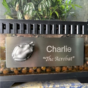 PERSONALIZED Laser Engraved Vivarium Name Plate For White&#39;s / Dumpy Tree Frog With Adhesive Backing