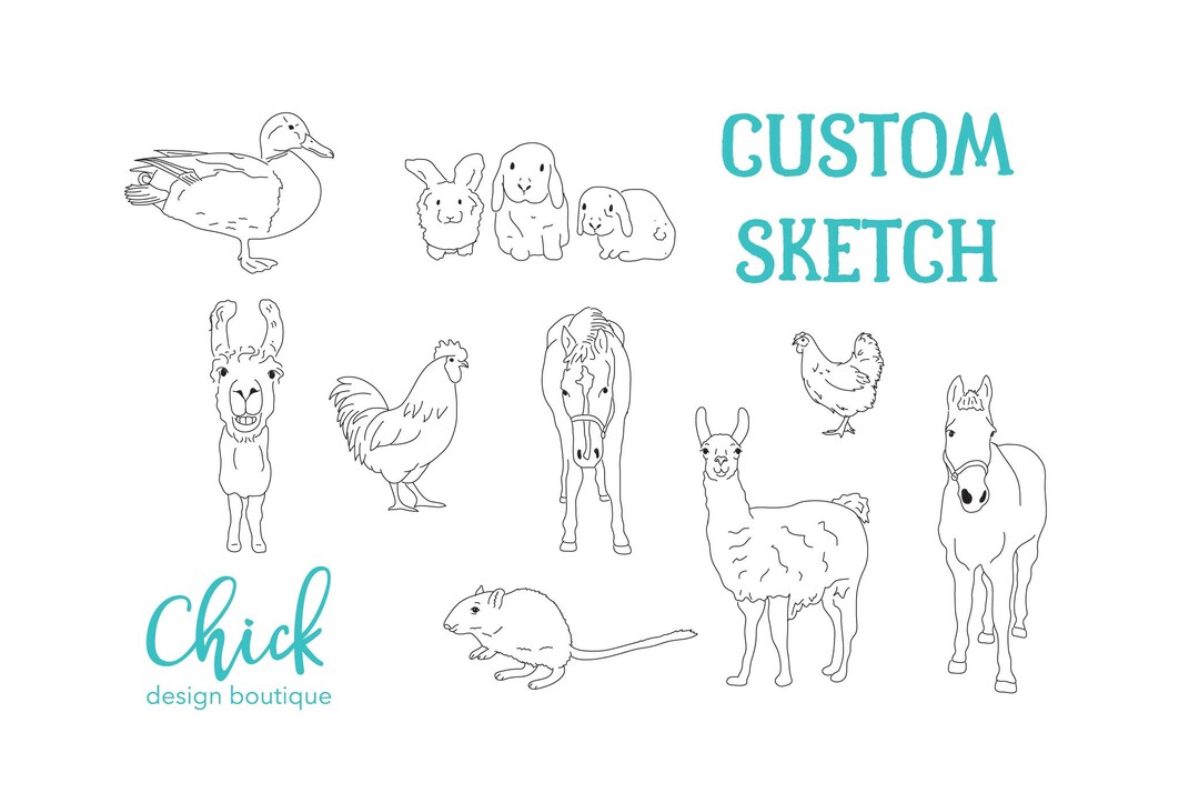 Illustrate Your Farm Animal, Custom Rabbit, Bunny Portrait, Pet Sketch ...