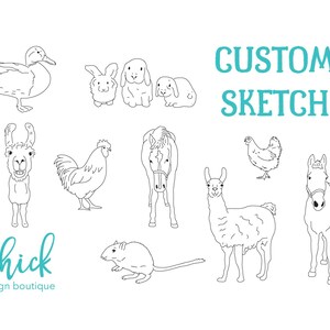 May include: A black and white line drawing illustration of various farm animals, including a duck, a rooster, a chicken, a llama, a horse, and rabbits. The text "CUSTOM SKETCH" is written in teal blue at the top of the image. The text "Chick design boutique" is written in teal blue at the bottom of the image.