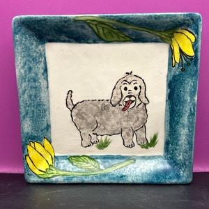 Happy poodle