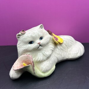 Persian cat