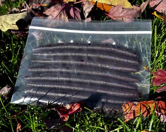 Leurres pour la pêche à l'achigan en plastique souple - lot Leurres pour la pêche à l'achigan en plastique souple - lot