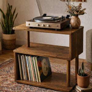 May include: A two-tiered, dark wood record player stand with a turntable on top and vinyl records stored below. A small vase with dried flowers and a potted plant add decorative touches. The stand is on a patterned rug.