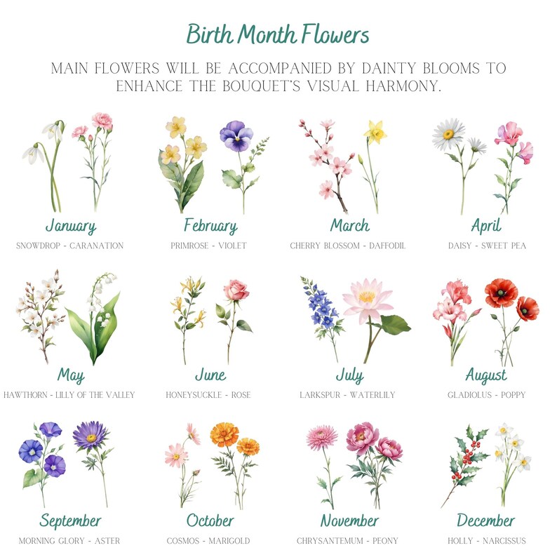 K&ouml;nnte beinhalten: Eine Tabelle, die die Geburtsmonatsblumen zeigt. Jeder Monat wird durch eine Aquarell-Illustration eines Blumenstrau&szlig;es dargestellt. Die Blumen sind mit ihren gebr&auml;uchlichen Namen beschriftet, wie zum Beispiel Schneegl&ouml;ckchen, Nelke, Primel, Veilchen, Kirschbl&uuml;te, Narzisse, G&auml;nsebl&uuml;mchen, Duftwicke, Wei&szlig;dorn, Maigl&ouml;ckchen, Gei&szlig;blatt, Rose, Rittersporn, Seerose, Gladiole, Mohn, Morgenstern, Aster, Kosmos, Ringelblume, Chrysantheme, Pfingstrose, Stechpalme und Narzisse.