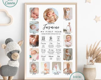 Modern 1st Birthday Milestone Poster, One Year Photos Baby Milestone Board, 1st Birthday Milestone Poster, One Year Photo Sign Template