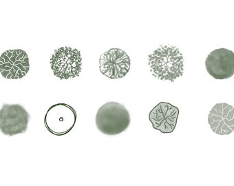 Top-View Tree Brush - Procreate, Landscape Design (Digital Download)