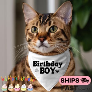 Cat Birthday Bandana | Birthday Boy Girl Cat | Adjustable Cat Bandana | Birthday Cat Outfit | Cat Birthday Gift | Kitten Birthday Bandana