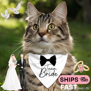 May include: A white cat wearing a white bandana with a black bow tie and the text "Team Bride".