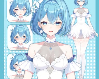 Anpassbare Live2D Premade Vtuber | Bearbeitbar & Takel | Individuell