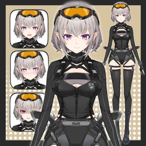 Vtuber Live2D Premade personnalisable | Modifiable et montage | Personnalisé
