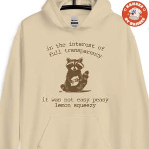 Funny Humor Hoodie, Funny Racoon Hoodie, Sarcastic Saying, Funny Humor Hoodie, Racoon Lover Tee, Sarcasm, Trash Panda Hoodie, Printed in USA