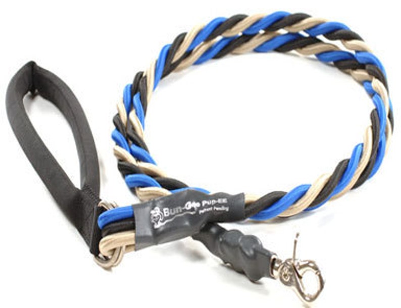 long bungee dog leash
