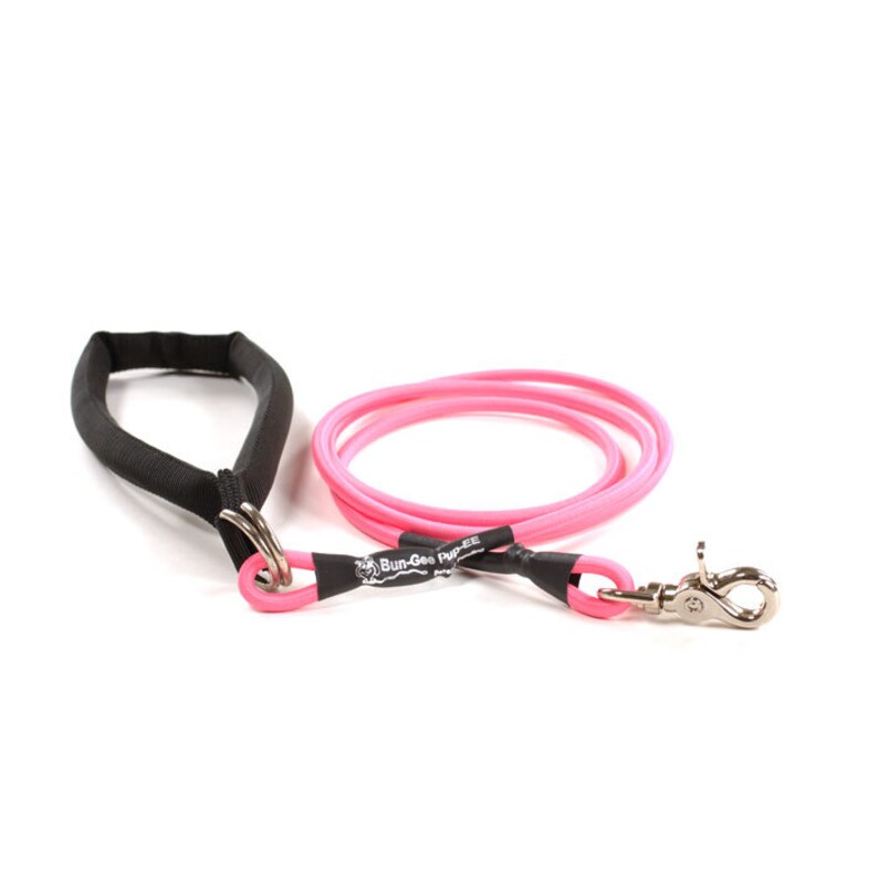 Bungee Dog Leash Small 6ft up to 25 pounds Etsy