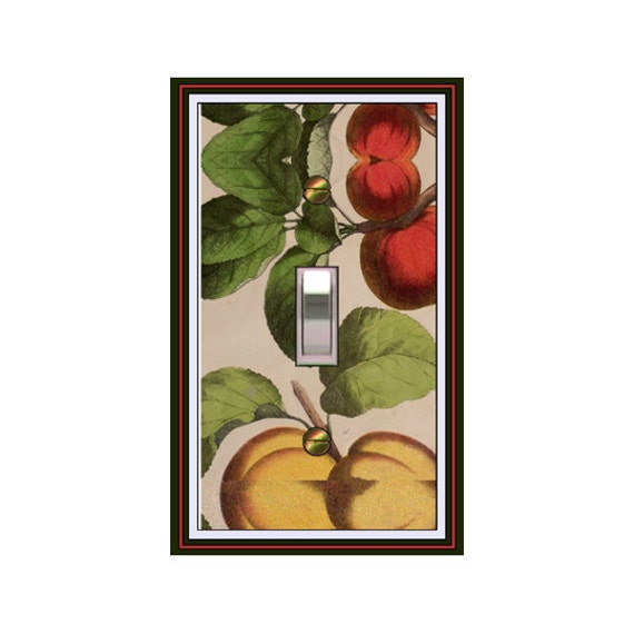 0264X Botany Print Fruit Cherries, Apricot, Peach ~ Mrs Butler Unique Switchplate Cover ~ Use Drop Downs ~ See Other Fruit & Botany Designs