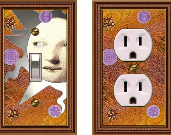 0106C and D - Combo of Blazing Sun and background switch plate cover  - mrs butler switchplates -