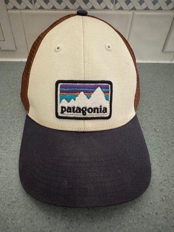 Patagonia Hat Cap Snap Back Adjustable Mens Brown Mesh Blue White