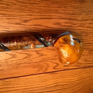 May include: A polished wooden walking stick featuring a smooth, rounded knob handle and a dark, spiraling vine-like carving that wraps around the shaft. The wood displays a glossy finish with natural grain patterns in shades of brown.