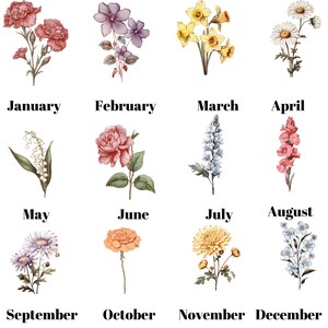 May include: A vintage-style illustration of flowers representing each month of the year. January features pink carnations, February has purple violets, March is yellow daffodils, April is white daisies, May is lily of the valley, June is a pink rose, July is blue delphiniums, August is pink gladiolus, September is purple asters, October is orange marigolds, November is yellow chrysanthemums, and December is blue forget-me-nots.