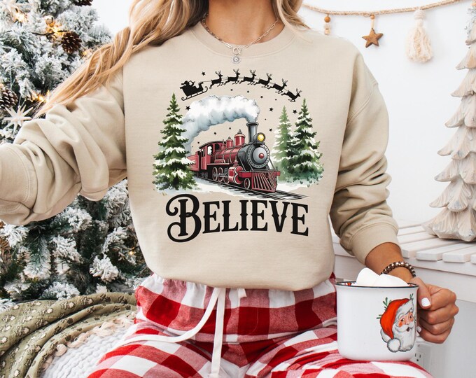 Polar Express shirt, Polar Express Trip, Christmas Family Trip, Christmas Sweat, Merry Christmas Hoodie, Gift Ideas, All Aboard Polar Expres