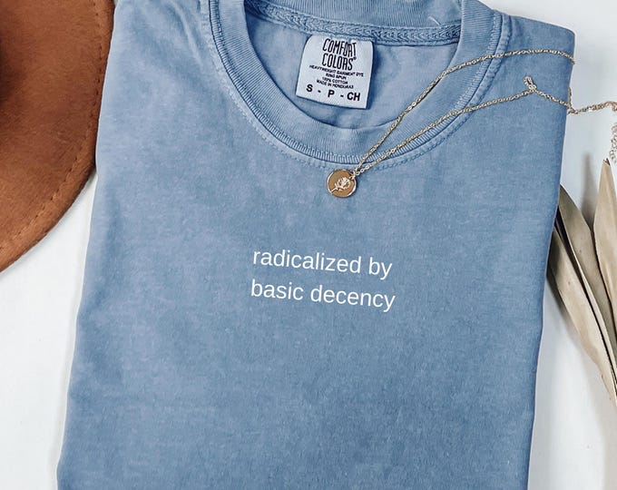 Radicalized by basic decency Comfort Colors® Shirt, Political Protest Shirt, Feminist Activist Gift, Liberal Unisex Tee