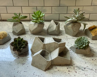 Succulent Planters - Set of 4 (Barnacle)