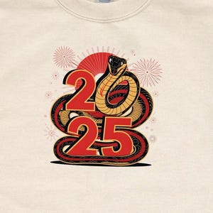 Lunar New Year 2025 Sweatshirt, Chinese Lunar New Year Hoodie, 2025 Chinese New Year Pullover, Jahr des Schlange Sweatshirt, Party Schlange Hoodie