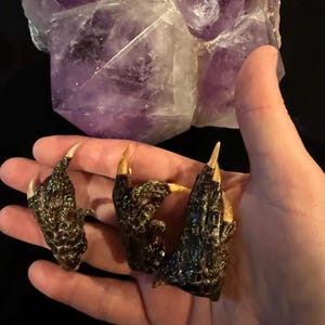 May include: Three dark brown, claw-shaped objects with gold-colored tips are held in a hand. The claws have a textured, scaly appearance. A large, translucent purple crystal formation is in the background.