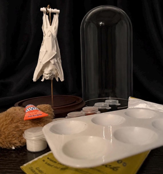 Bat in a Dome - Paint your own kit  - Oddities - Curiosities