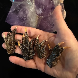 May include: Four small, dark brown claws with yellow tips are displayed in an open hand. The claws have a textured, scaly appearance. A large, purple crystal is in the background.