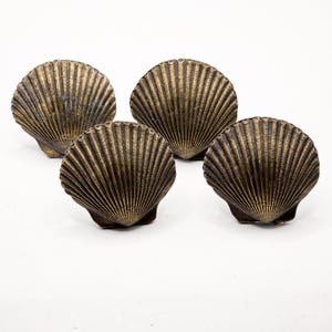 May include: A set of four scallop shell-shaped cabinet knobs featuring a dark bronze finish with highlighted ridges. Each knob displays a realistic fan-shaped design with radiating lines, providing a textured appearance and a metallic sheen.