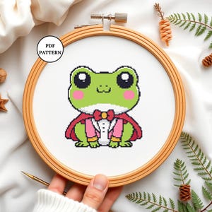Cute Frog Cross Stitch Pattern Kawaii Frog Embroidery PDF Easy Counted Cross Stitch for Beginners DIY Cottagecore Decor Frog Lover Gifts